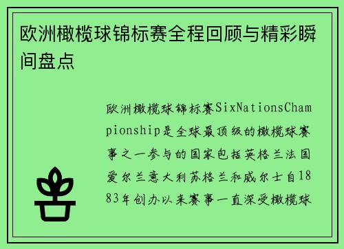 欧洲橄榄球锦标赛全程回顾与精彩瞬间盘点